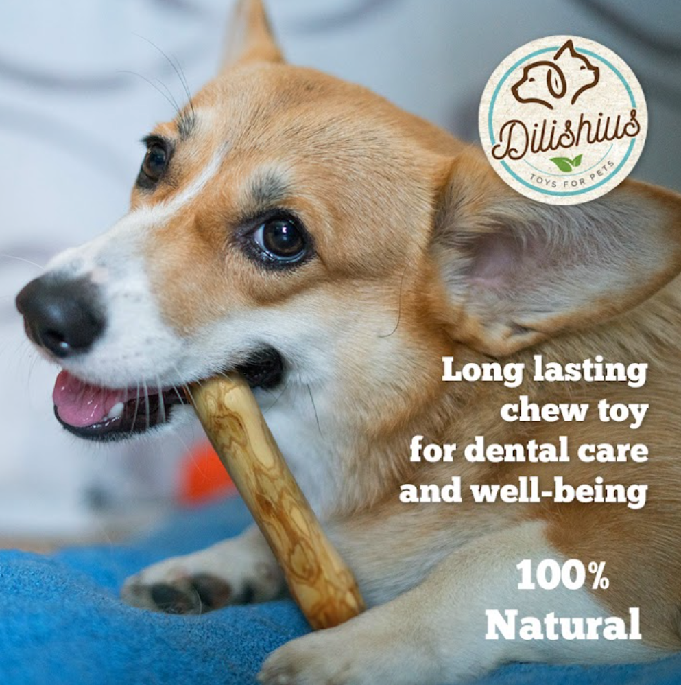 Coffee wood chew for large and strong dogs 3 pcs plus free coconut rope