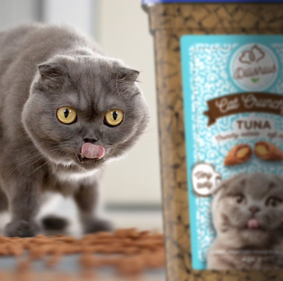 Crunchy cat treats in discount buckets 2 x 420 gram