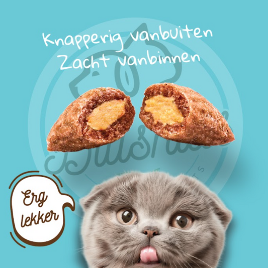 Crunchy cat treats in discount buckets 2 x 420 gram