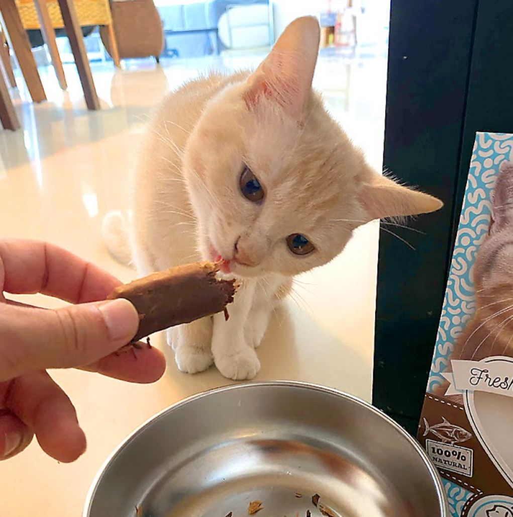 100% natural & fresh filet from chicken for cats and dogs