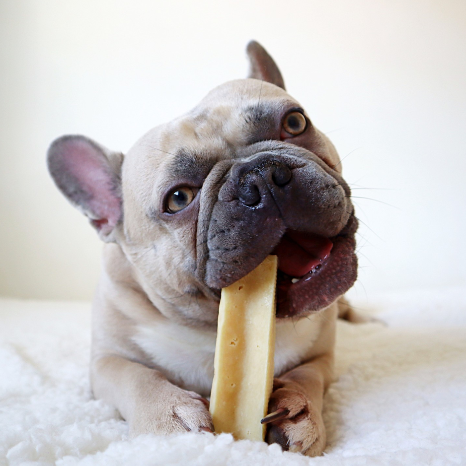 Himalayan Dog Chew CHEEZZ +/- 70 gram for medium dogs (6 pieces)
