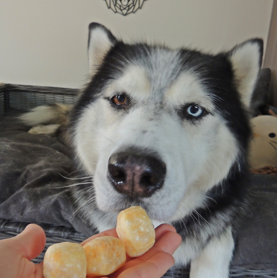 Himalayan Dog Chew CHEEZZ +/- 100 gram for large dogs (4 pieces)