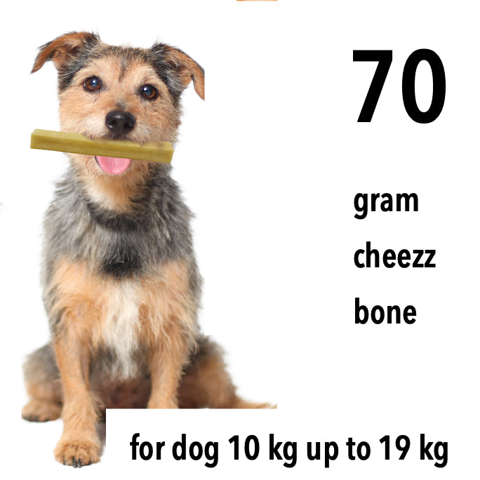 Himalayan Dog Chew CHEEZZ +/- 70 gram for medium dogs (6 pieces)